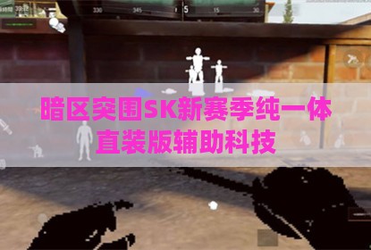 暗区突围SK新赛季纯一体直装版辅助科技