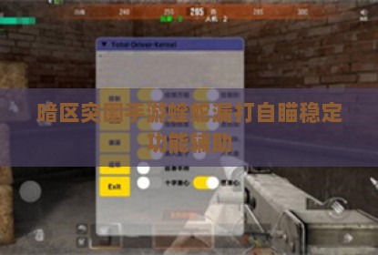 暗区突围手游蝰蛇漏打自瞄稳定功能辅助