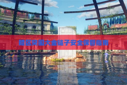 暗区突围大金链子安全保管指南
